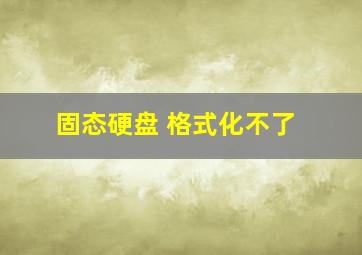 固态硬盘 格式化不了